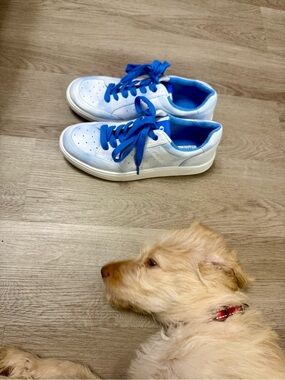 Nine West Dead Stock Sneakers